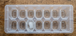 Top-down view of a clear, empty plastic ice cube tray sitting on a rustic wooden table, with a single, partially melted ice cube occupying one of the slots.